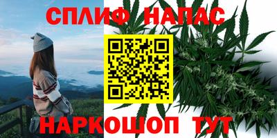 сатива Бугуруслан